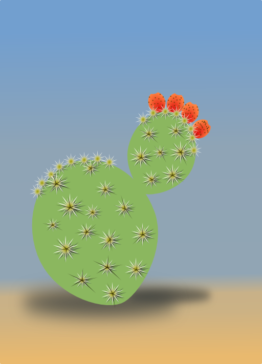 Cactus