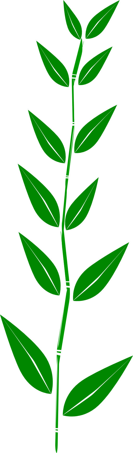 Bamboo Leaf