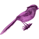 download Paradoxornis Heudei clipart image with 270 hue color