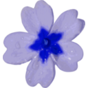 download Flower 10 clipart image with 180 hue color