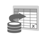 Import To Excel Icon