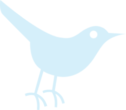 Bird Icon