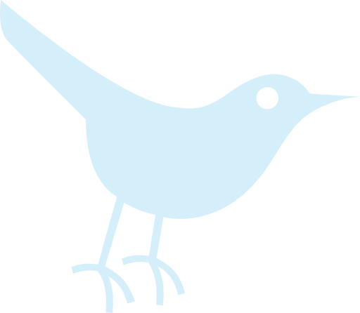 Bird Icon