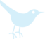 Bird Icon