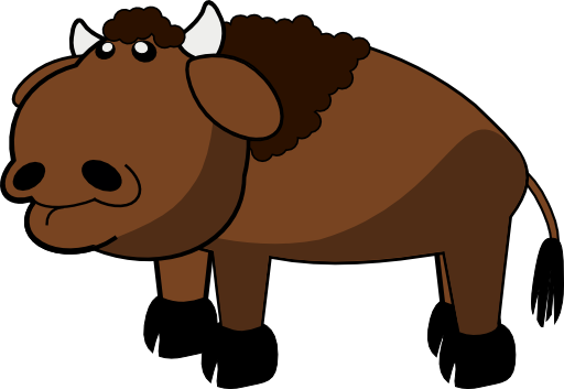 Bison