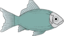 Generic Fish