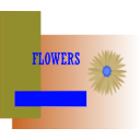 download Flowers clipart image with 180 hue color