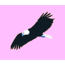 download Soaring Eagle clipart image with 180 hue color
