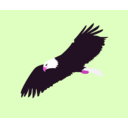download Soaring Eagle clipart image with 270 hue color