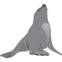 download Sea Lion clipart image with 180 hue color