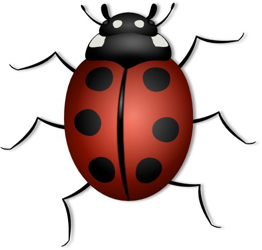 Ladybug