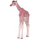 download Baby Giraffe clipart image with 315 hue color