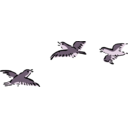 download Plovers clipart image with 270 hue color