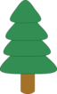 Spruce1