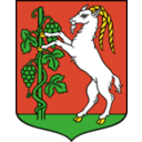 Lublin Coat Of Arms
