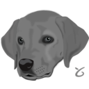 download Dog Head clipart image with 45 hue color