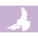 download Dove Colombe clipart image with 90 hue color