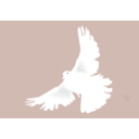 download Dove Colombe clipart image with 180 hue color