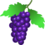 Grapes