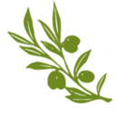 download Olive Tree Branch clipart image with 315 hue color