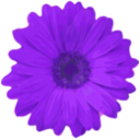 download Flower 04 clipart image with 270 hue color