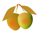 download Mango clipart image with 315 hue color