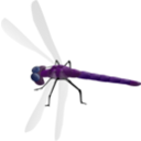 download Dragonfly clipart image with 45 hue color