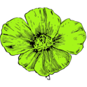download California Poppy clipart image with 45 hue color