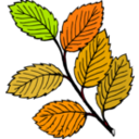 download Summer Leaves clipart image with 315 hue color
