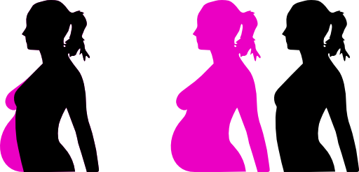 Pregnancy Silhouet