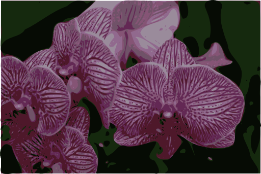 Orchids