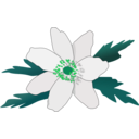 download Anemone Nemorosa clipart image with 90 hue color