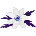 download Anemone Nemorosa clipart image with 180 hue color