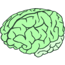 download Brain 2colors clipart image with 90 hue color