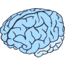 download Brain 2colors clipart image with 180 hue color