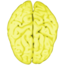 download Brain clipart image with 45 hue color