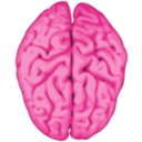 download Brain clipart image with 315 hue color