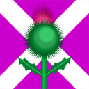 download Scottish Thistle And Flag clipart image with 45 hue color