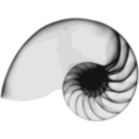 Nautilus