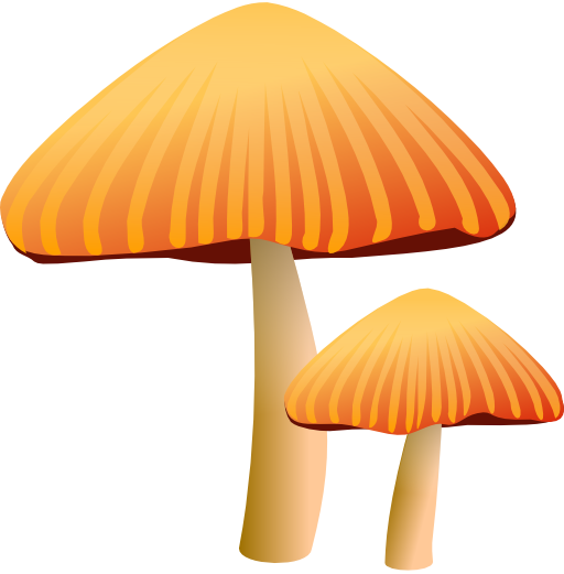 Orange Mushroom