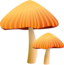 Orange Mushroom