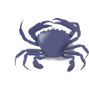 download The Crab clipart image with 180 hue color
