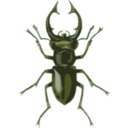 download Stag Beetle Lucanus Elephas clipart image with 45 hue color