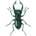 download Stag Beetle Lucanus Elephas clipart image with 135 hue color