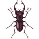 download Stag Beetle Lucanus Elephas clipart image with 315 hue color
