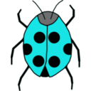 download Ladybug clipart image with 180 hue color