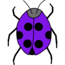 download Ladybug clipart image with 270 hue color