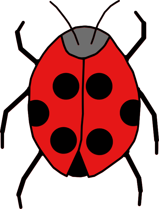 Ladybug