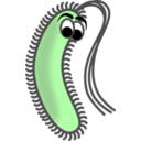 download Funny Bacillus clipart image with 90 hue color