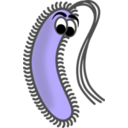 download Funny Bacillus clipart image with 225 hue color